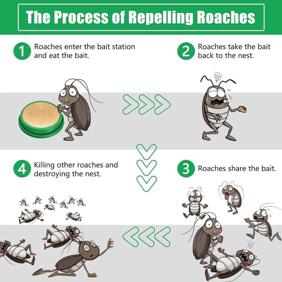 The Only Roach Killer You'll Ever Need